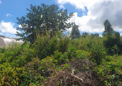 Agricultural land - 6759 m²
