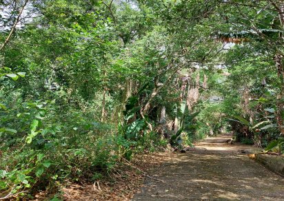 Agricultural land - 7789 m²