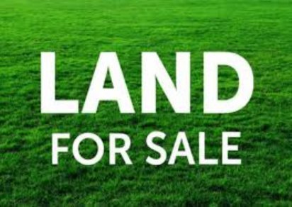 Agricultural land - 8442 m²