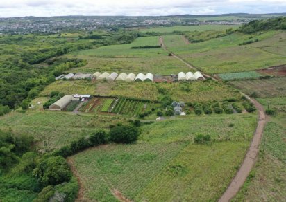Agricultural land - 9000 m²