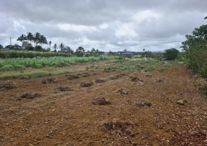 Agricultural land - 968 m²