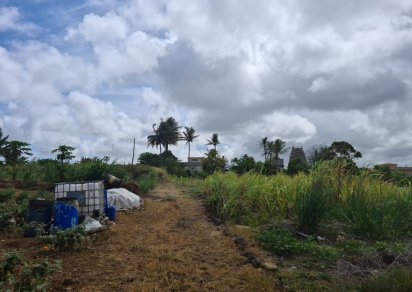 Agricultural land - 968 m²