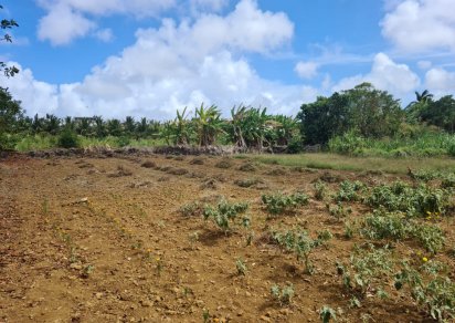 Agricultural land - 968 m²