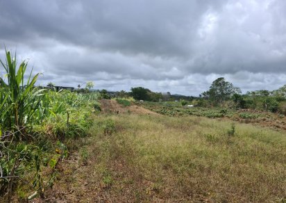 Agricultural land - 968 m²