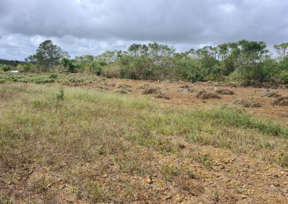 Agricultural land - 968 m²
