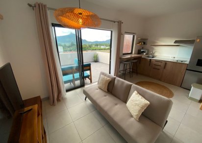 Appartement - 1 chambre - N.S m²