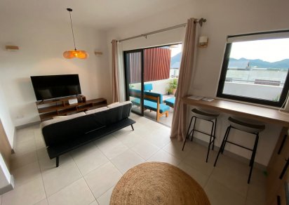 Appartement - 1 chambre - N.S m²