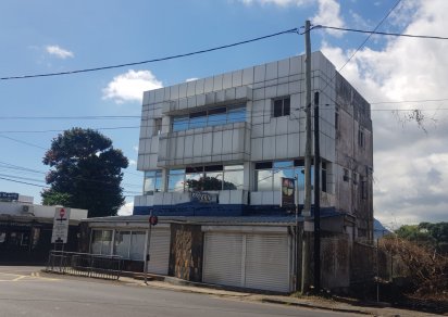 Bâtiment commercial - 319 m²