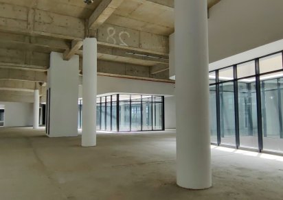 Bureau - 1279 m²