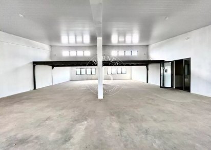 Bureau - 242 m²