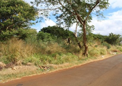 Commercial land - 4220 m²