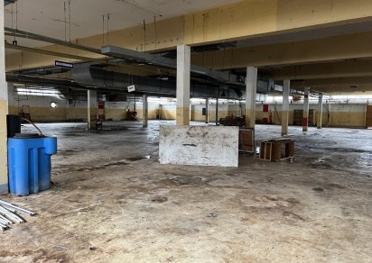 Entrepôt - 1500 m²