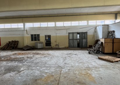 Entrepôt - 1500 m²