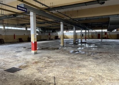 Entrepôt - 1500 m²