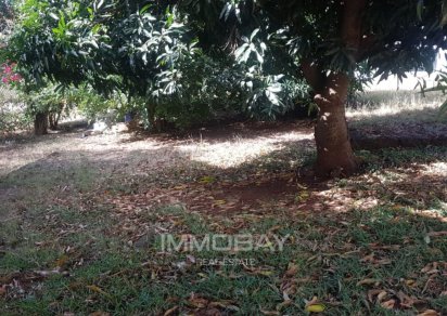 House / Villa - 3 Bedrooms - 242 m²