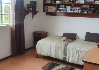 House / Villa - 4 Bedrooms - 222 m²