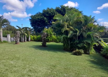 House / Villa - 4 Bedrooms - 370 m²
