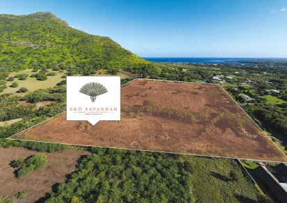 House / Villa - 5 Bedrooms - 566 m²