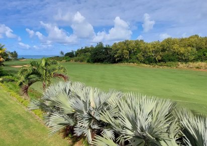 House / Villa - 5 Bedrooms - 600 m²