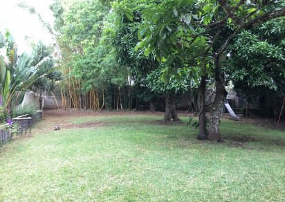 House / Villa - 5 Bedrooms - 805 m²