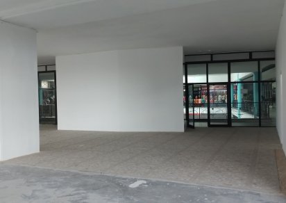 Local Commercial - 245 m²