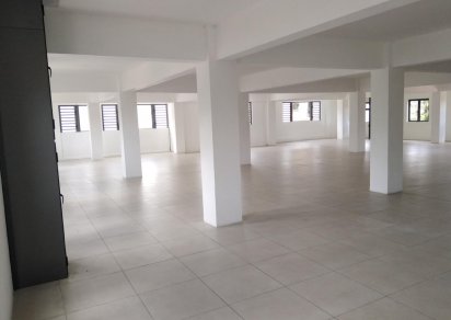 Local Commercial - 393 m²