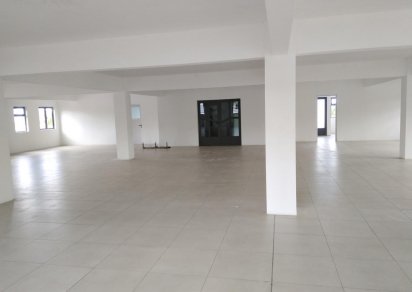 Local Commercial - 393 m²