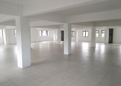Local Commercial - 393 m²