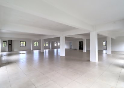 Local Commercial - 394 m²