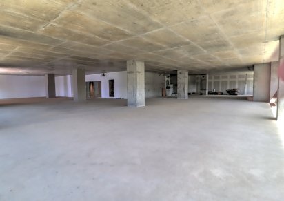 Office - 591 m²