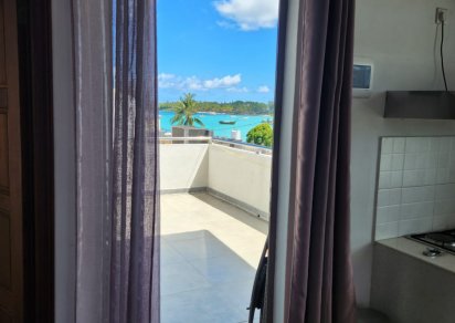 Penthouse - 1 Bedroom - N.S m²