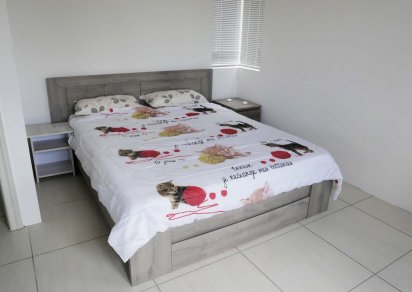 Penthouse - 3 chambres - 120 m²