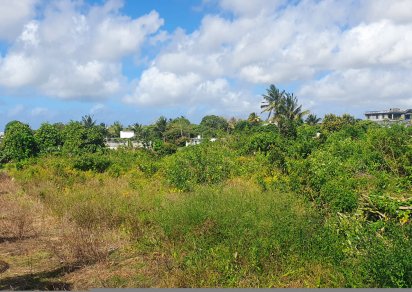 Residential land - 1055 m²