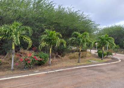 Residential land - 1250 m²