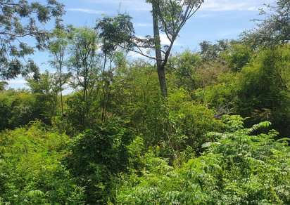 Residential land - 1254 m²