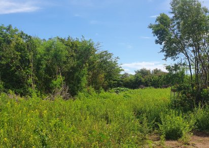 Residential land - 1254 m²