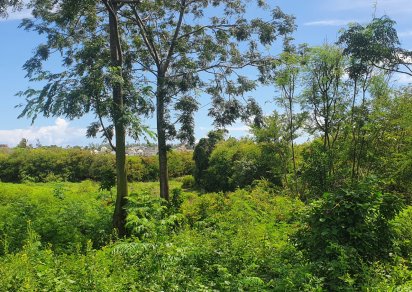 Residential land - 1254 m²