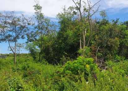 Residential land - 1254 m²
