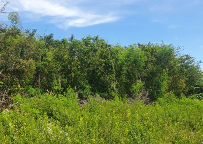 Residential land - 1254 m²