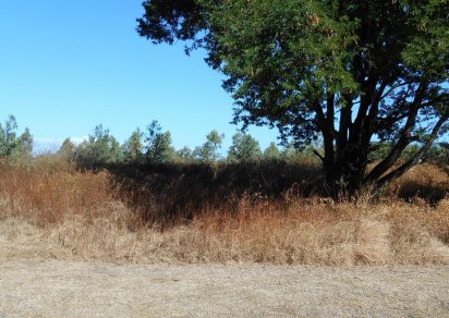 Residential land - 1596 m²