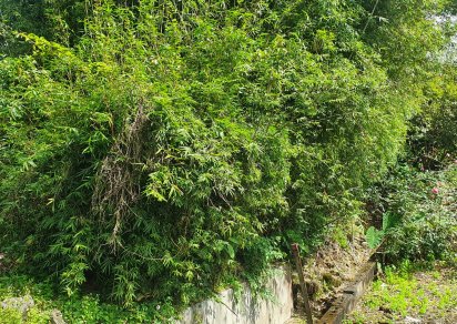 Residential land - 1857 m²