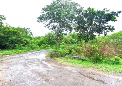 Residential land - 1 Acre(s)