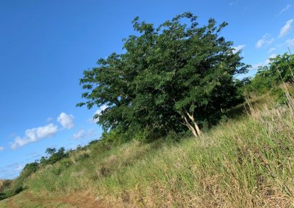 Residential land - 2110 m²