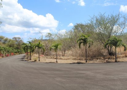 Residential land - 2256 m²