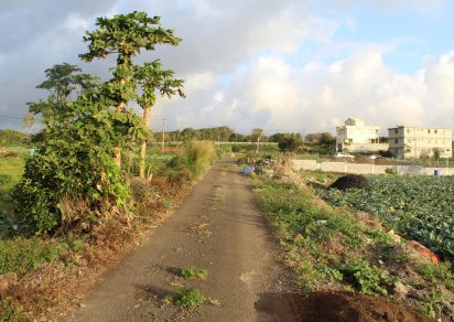 Residential land - 2568 m²