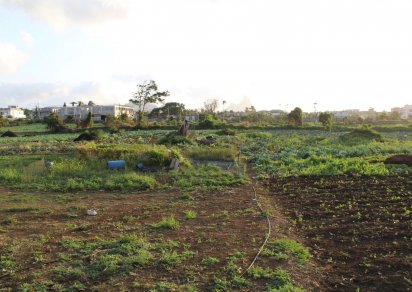 Residential land - 2568 m²