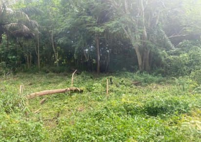 Residential land - 2606 m²
