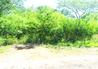 Residential land - 2811 m²