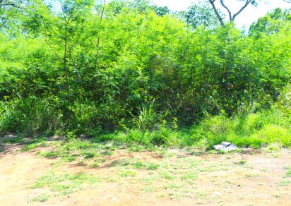 Residential land - 2811 m²