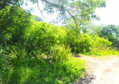 Residential land - 2811 m²